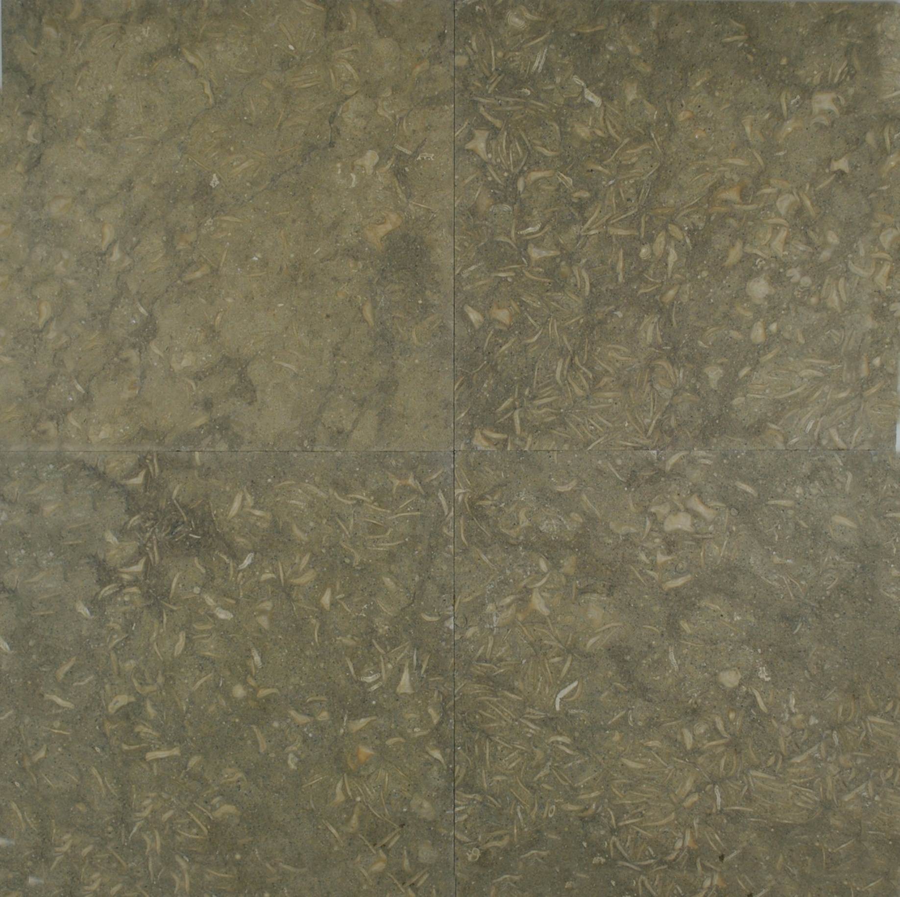 Seagrass-18x18-H-2-23-12-Master