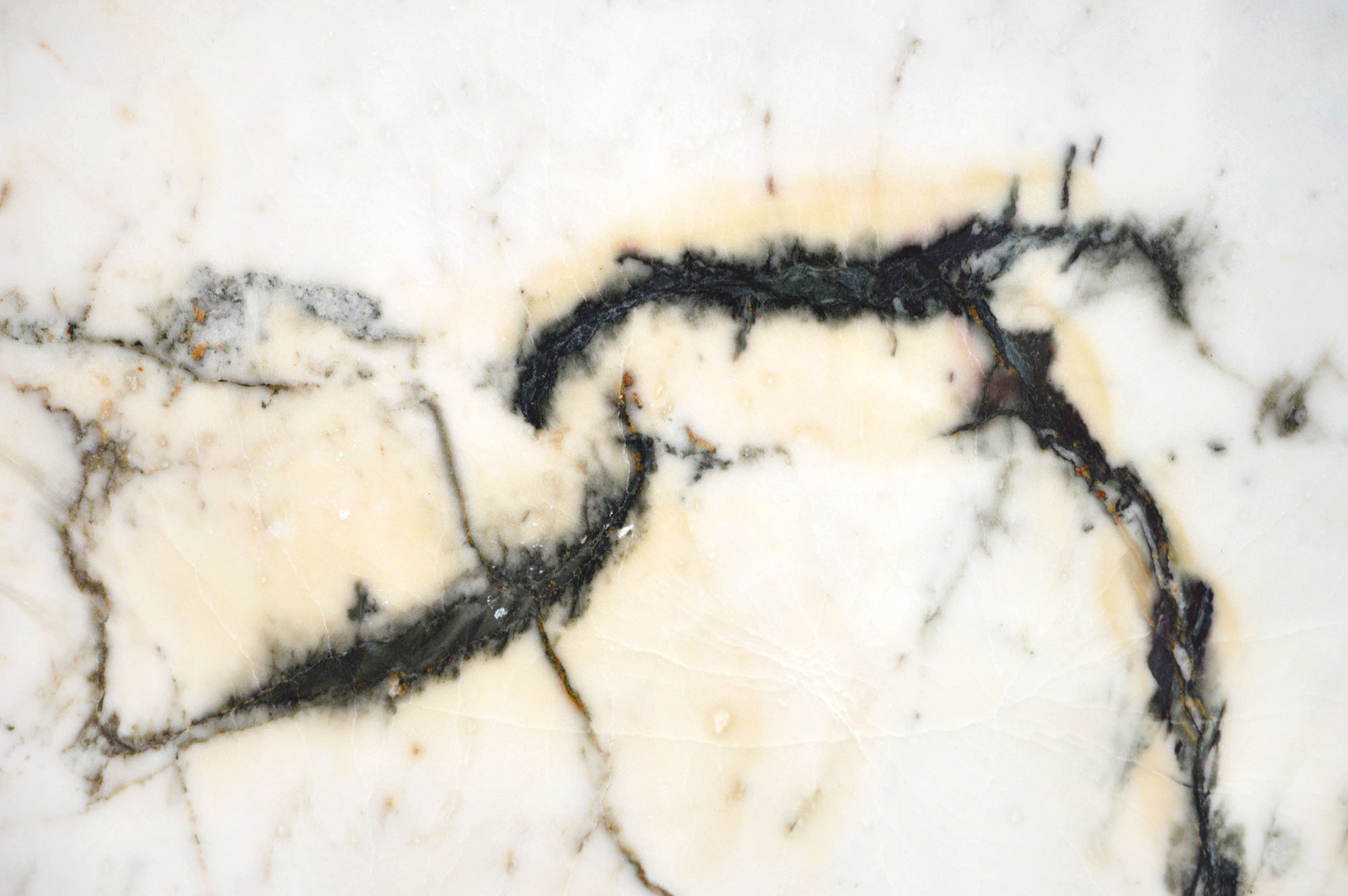 SlabPaonazzettoPremPCloseweb