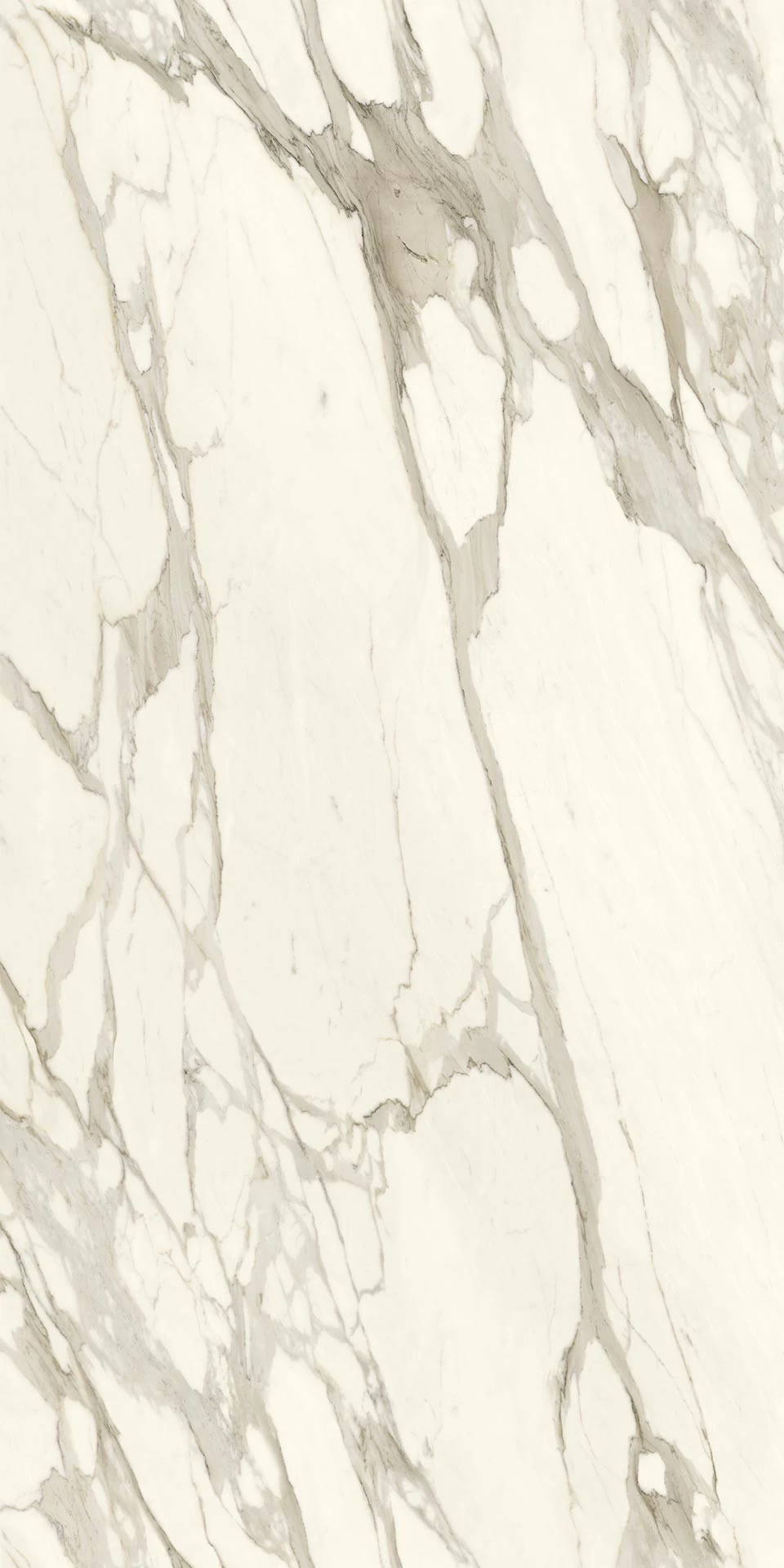 Calacatta Bernini
